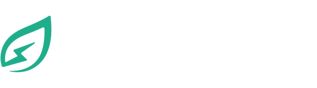 RE&GO Pay, Betallösning